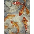 thumbnail image 2 of OToole, Tim 19x24 Gold Ornate Wood Framed with Double Matting Museum Art Print Titled - Custom Vibrant Koi II (ASH), 2 of 4