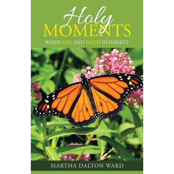 Holy Moments : When Life and Faith Intersect (Paperback)