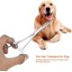 thumbnail image 1 of Tijeras de peluquería canina Salutuya, pinzas para orejas de gato, diseño de punta curva, para limpieza de orejas, cara y patas de perro (grande), 1 of 5