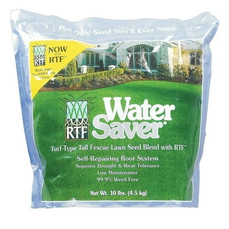 Barenbrug  Water Saver  Tall Fescue  Sun & Shade  Grass Seed  10 (Best Way To Water Grass Seed)