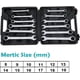 thumbnail image 5 of 12pcs Ratchet Wrench Set 5 Deg Movement Spanner Kit Combination Wrenchs Chrome Vanadium Steel , Metric Sizes 8-19mm with storing case, 5 of 5