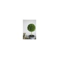 thumbnail image 2 of A&B Home Artificial Plants - Artificial Boxwood Topiary Tree, Artificial Ball Shaped Tree w/Black Pulp Pot for Home D√©cor Indoor,Set of 3 Faux Tabletop Plant, 11" x 4" x 10", 2 of 7