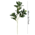 thumbnail image 2 of High Watercress Greenery for Lifelike Home and Garden Decorative Landscaping, 2 of 5