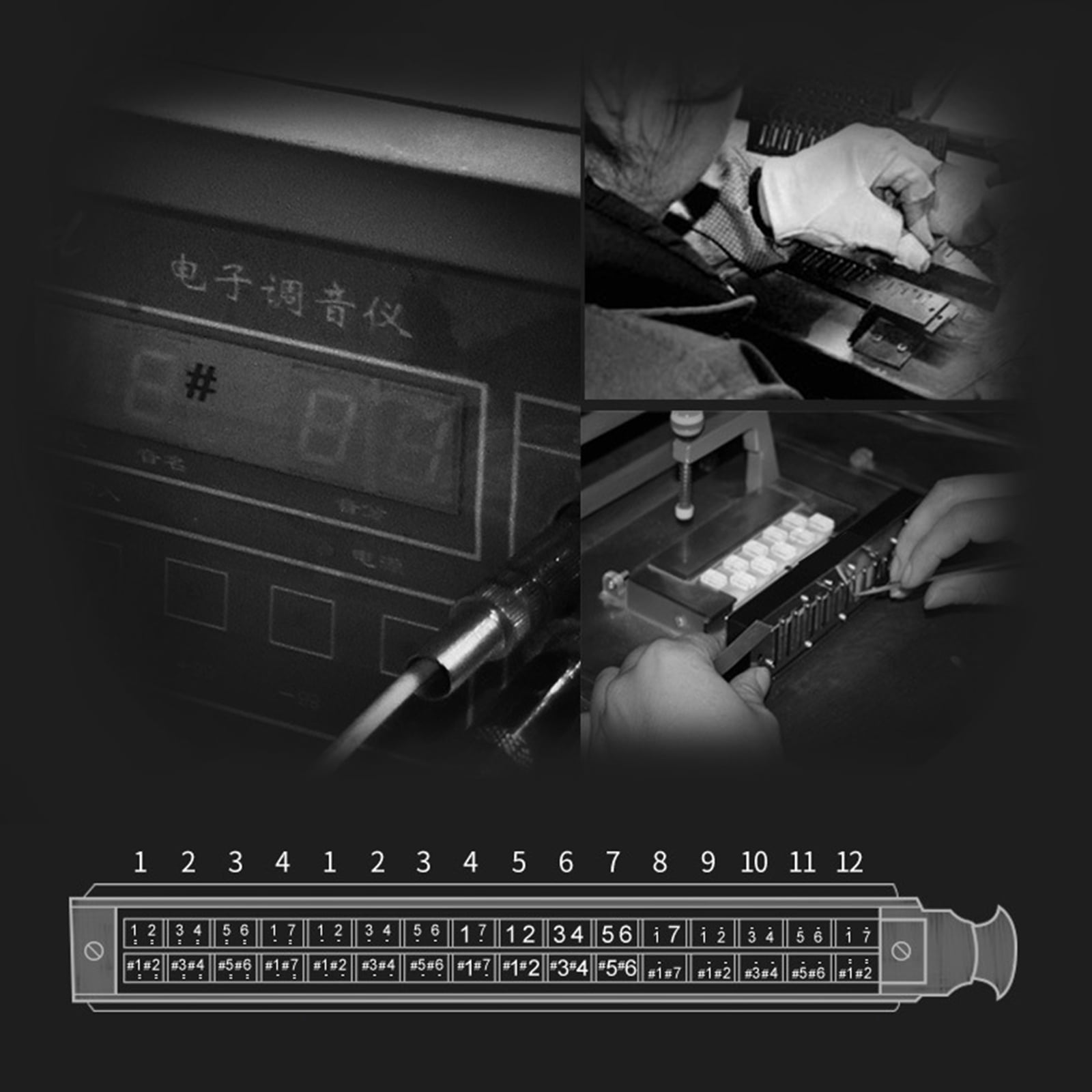 12 Hole Organ Harmonica Chromatic Harmonica for Key of C for Professionals & Stu