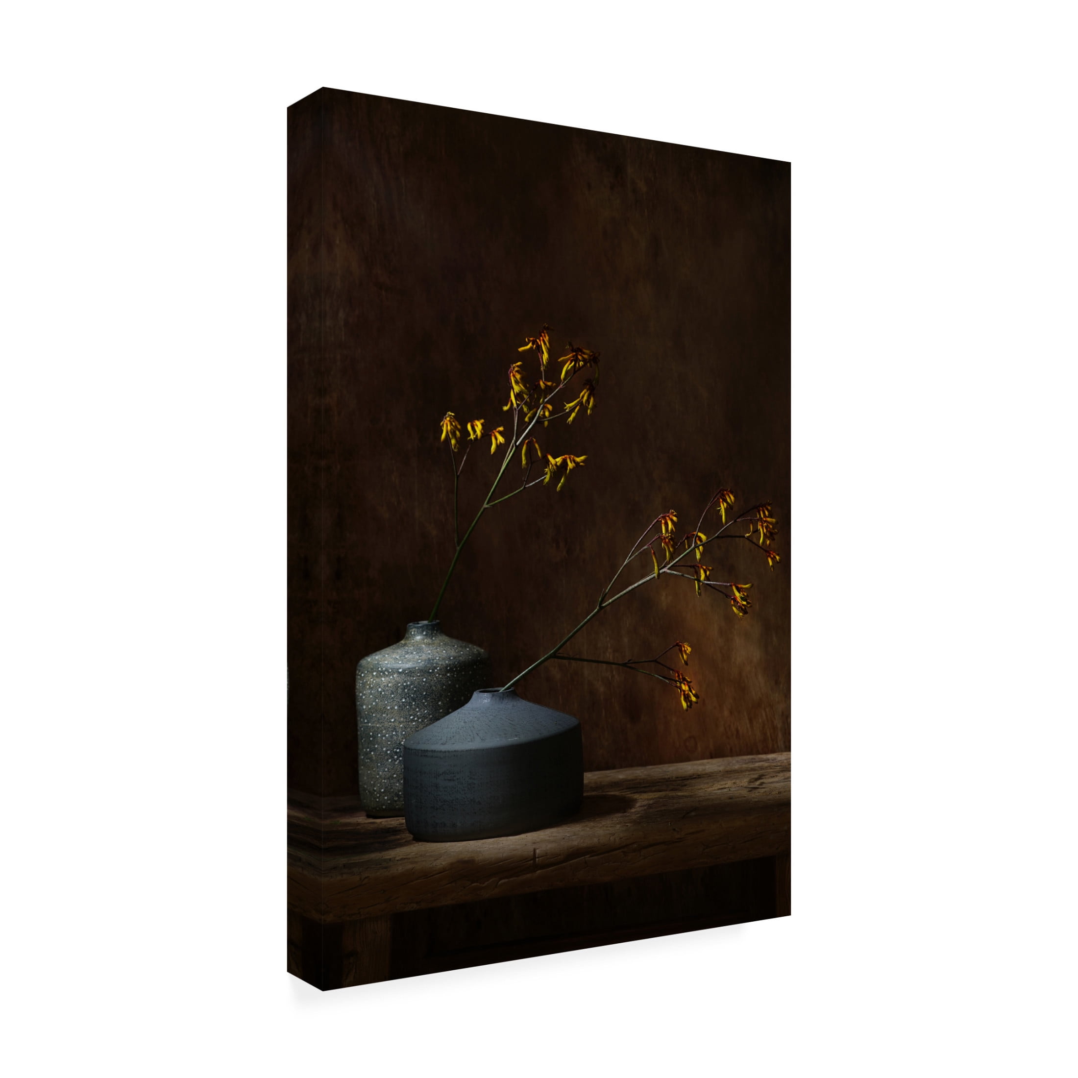Canvas Wall Art - Saskia Dingemans 'Still Life With Oker Flowers' Wall Art for Living Room, Bedroom, or Office Décor by Trademark Fine Art - 12 x 19 Inches