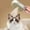 White, variant on Pet Spritz Brush for Cats Spritz Defur Comb Cat Steam Brush for Massaging and Cleaning Shedding for Long and Short Hair Cats and Dogs Grooming Tool,Khaki