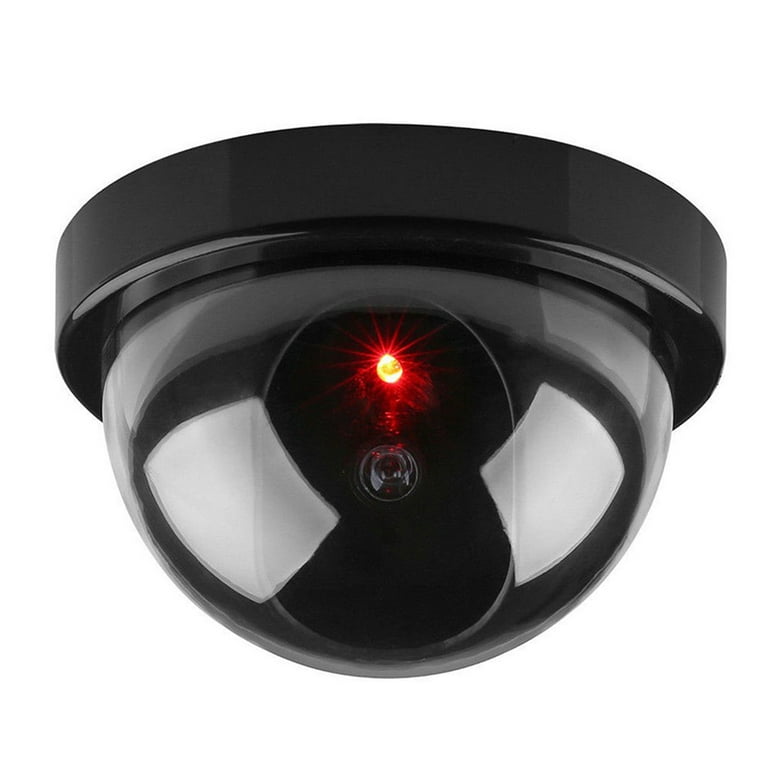 dummy red light camera