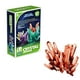 thumbnail image 1 of Maojin Toy Story Juguetes Kit de Cultivo de Cristal para niños Experimento científico de Bricolaje para Adolescentes Juguetes para niños Cristal mágico Divertido Educativo Estimula el interés, 1 of 2
