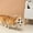 A, variant on Interactive Cat Teaser Wand Toy for Indoor Exercise with Mice and Light Up to Stimulate Natural Instincts