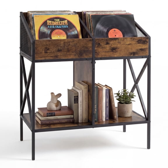 Costway 4-Grid Vinyl Record Storage Rack 2-Tier Display Shelf Holds up to 250 Albums Rustic Brown