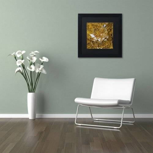Trademark Fine Art "Golden Canopy of Autumn" Canvas Art by Kurt Shaffer, Black Matte, Black Frame