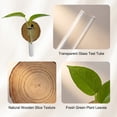 thumbnail image 5 of Wall Mounted Glass Planter, Natural Wood Slice Single Test Tube Hydroponic Vase, Hanging Plant Propagation Station for Indoor Home Decor and Office Wall Art Decoration, 5 of 6