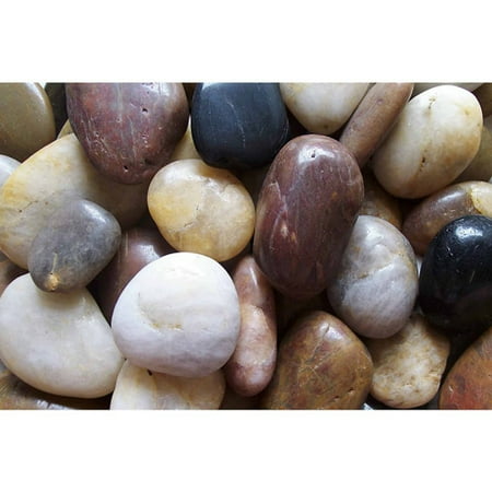 Exotic Pebbles & Aggregates 5 Lb. Mixed Polished Pebbles