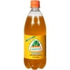 Jarritos: Mango Soda, 20.25 fl oz