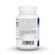 Planetary Herbals Holy Basil Extract 450 mg 60 Capsule