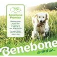 thumbnail image 6 of Benebone Tiny 2-Pack Fishbone Durable Dog Chew Toys, Real Fish Flavor, 6 of 6