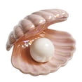 thumbnail image 2 of Koszal Ceramic Shell Pearl Lamp Bedroom Decoration Home Bedside Night Light Girl Gift, 2 of 7