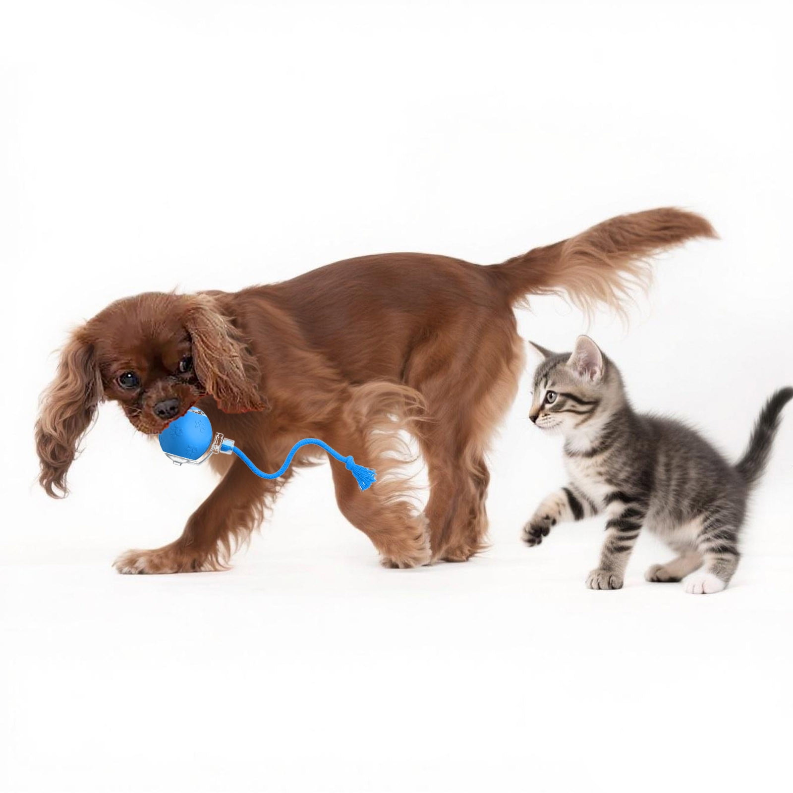 2025 Upgraded Interactive Cat Toy Ball - Fast Moving, Motion-Activated Rolling & Chirping Toy for Bored Indoor Cats & Kittens - Fun Automatic Pet Toy Gift for Adult Cats & Puppies