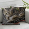 thumbnail image 2 of Nawypu  Sleepy Cats Pattern Cushion Cover Pillowslip Square Decorative Throw Pillow Case 2pc, 2 of 6