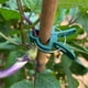 thumbnail image 5 of Large Botanical Garden Clip Set Plastic Clips For And Other Plants, 5 of 5