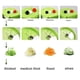 thumbnail image 3 of Billuyoard Cortador de verduras en de mano, cortador en de verduras resistente para ensalada, zanahoria, fruta, pepino, calabacín Type2 NO2 Billuyoard HA034975-00, 3 of 6