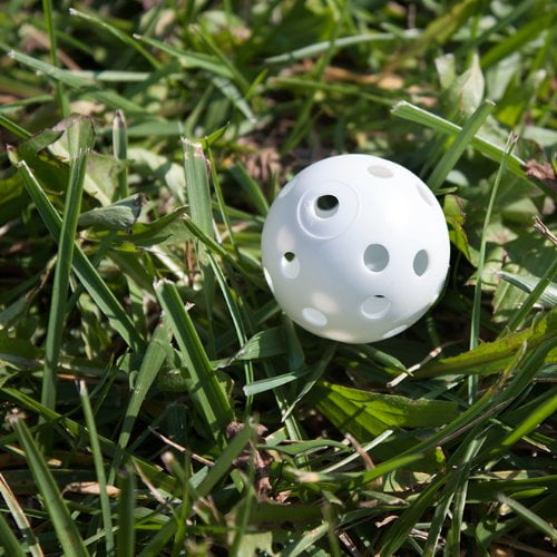 Crown Sporting Goods 24 Polyurethane White Plastic Golf Balls Bulk