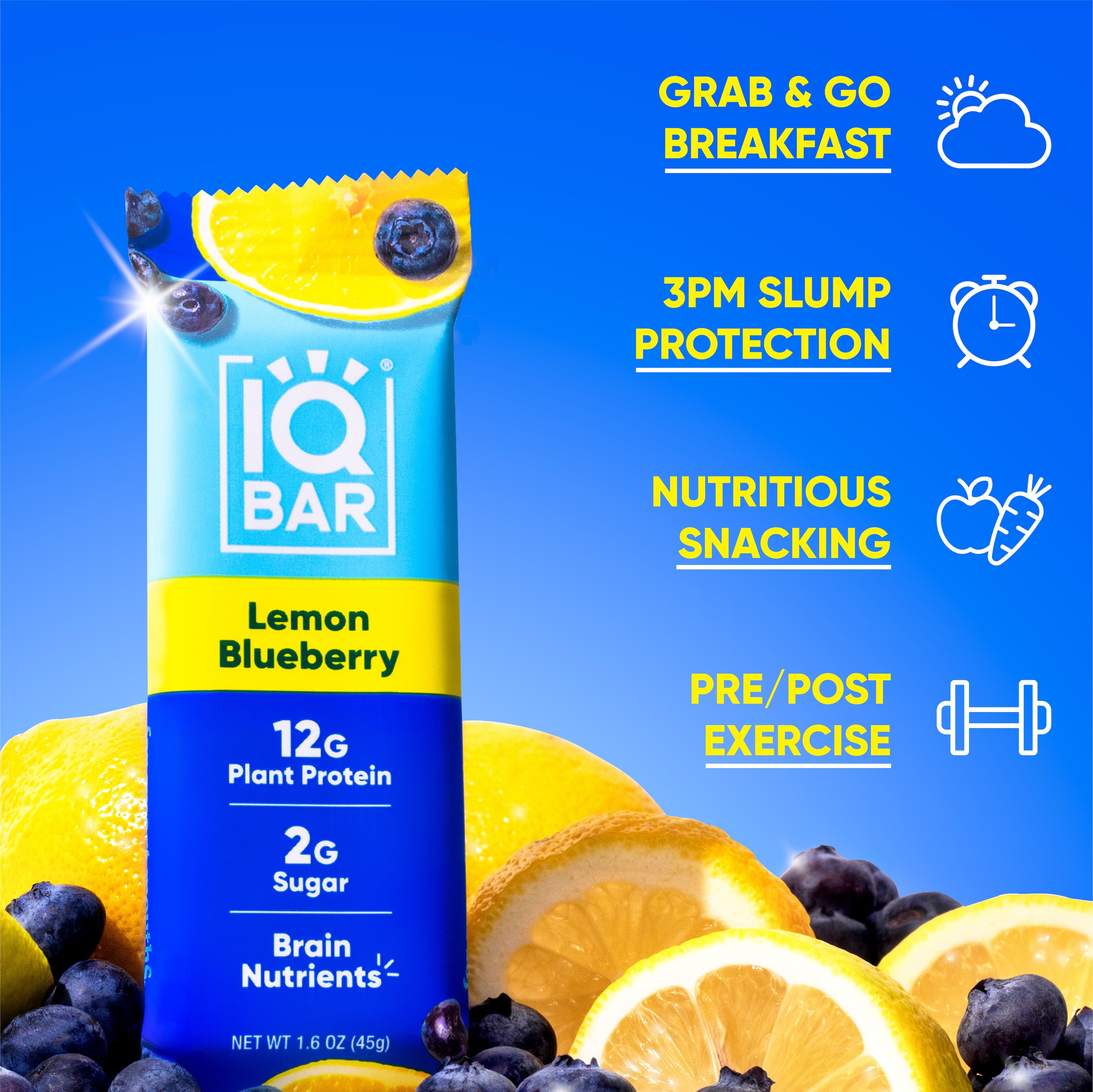 IQBAR Clean Plant Protein Bars - Lemon Blueberry - 12 Count - Keto, Vegan, High Fiber, Gluten and Dairy Free, Low Sugar Snack