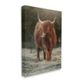 thumbnail image 5 of Stupell Highland Cattle Farmhouse Country Animal Animals & Insects Photography Gallery Wrapped Canvas Print Wall Art, 5 of 5