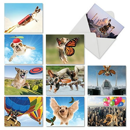 'M6448OCB THE FLYING K9' 10 Assorted All Occasions Greeting Cards Featuring a Variety of Dog Breeds Enjoying Flights of Fancy with Envelopes by The Best Card (All The Best Greetings)