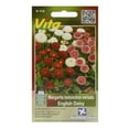 thumbnail image 1 of Semillas Margarita Botoncitos Vita Verde 0.1G, 1 of 3