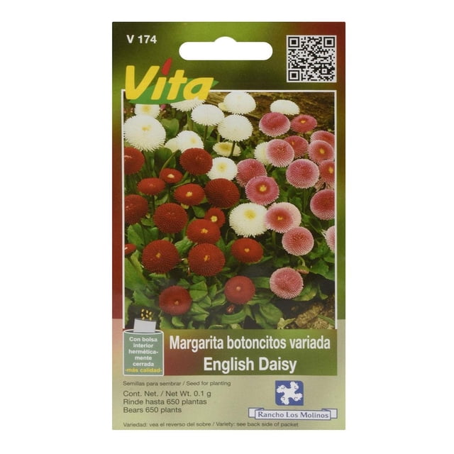 Semillas Margarita Botoncitos Vita Verde 0.1G