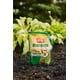 thumbnail image 2 of Insecticida Ortho Bug-Geta Snail & Slug Killer2, 2 of 7