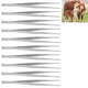 thumbnail image 5 of linxiaojix Pinzas para Animales, Pinzas para Mascotas Pinzas Quirúrgicas para Animales De 10 Piezas para La Alimentación De Reptiles(20 Centímetros) Pinza recta Pinza Spptty ganado avícola, 5 of 7