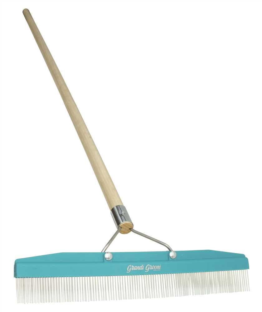 Grandi Groom 814488 18 in. Professional Carpet Rake