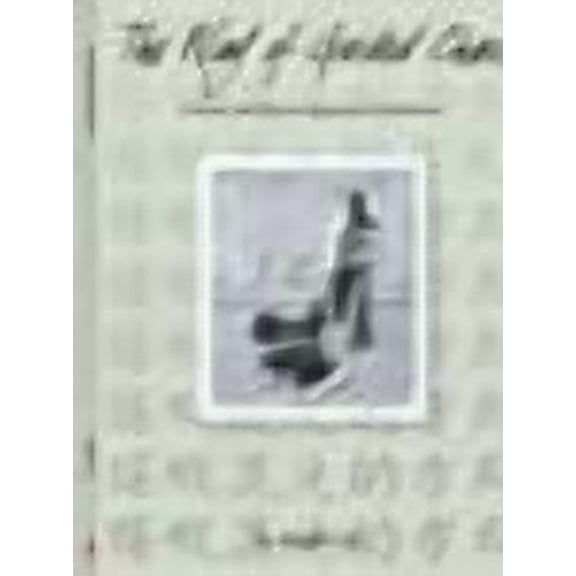 The Way of Guided Chaos (Paperback)