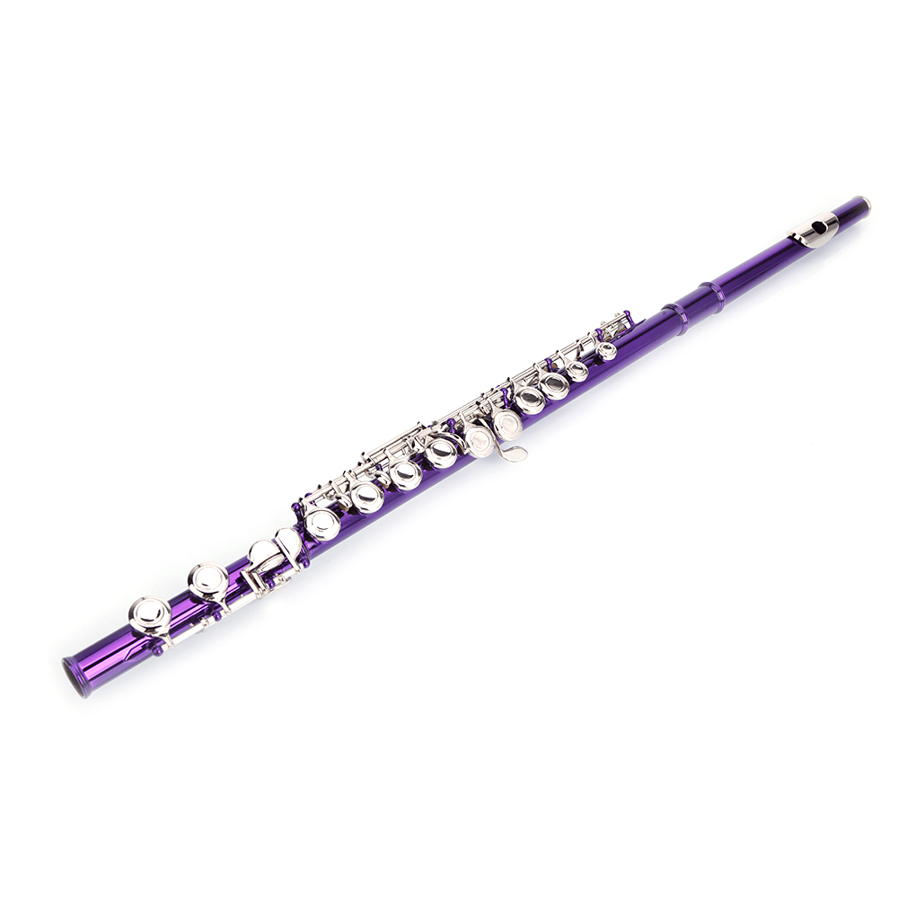 Tcbosik C Flute Closed Hole 16 Keys for Beginners with Case, Cloth, Screwdriver, Lubricant and Cleaning Rod, Purple