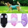 thumbnail image 3 of Traje de recuperación para perros y gatos, camisa profesional para recuperación de cachorros, vendajes para heridas abdominales, previene lamer, 3 of 4