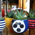 thumbnail image 4 of Magnetized Life Eclipse Planter with Live Plant - Turquoise-Live Trends, 4 of 4