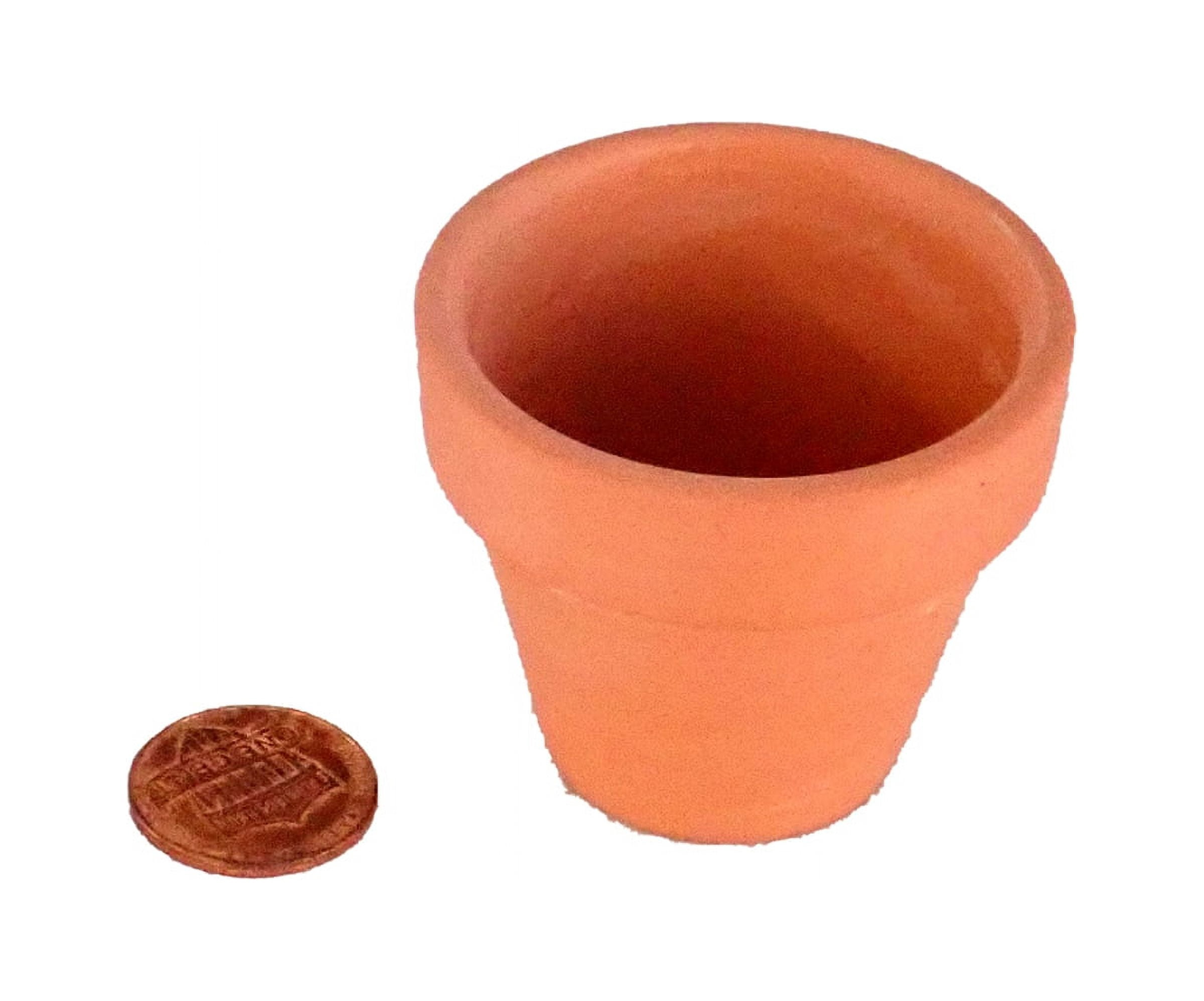 Deroma 1.9" Terra Cotta Standard Clay Pot