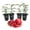 Afganski, variant on Pomegranate Tree Variety Pack - 4 Live Starter Plants - Growers Choice - Edible Fruit Bearing Tree for The Patio and Garden