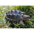 thumbnail image 2 of Hi-Line Gifts 10.5" Snapping Turtle Outdoor Garden Statue, 2 of 4