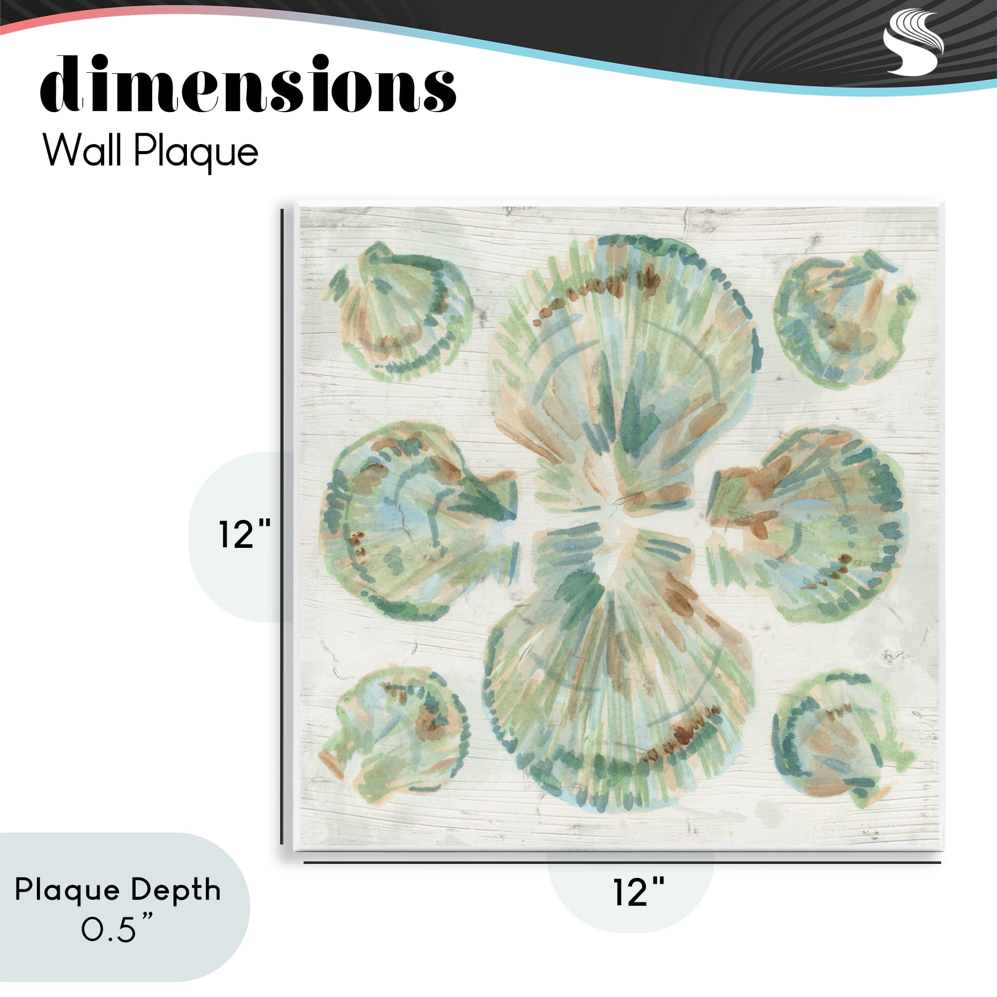 Stupell Industries Saltwashed Shells Symmetry Wall Plaque Art, design by June Erica Vess