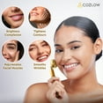 thumbnail image 5 of Electric Face Massager Kit for Women, 2-in-1 Vibrating Golden 3D Roller & T-Shape Massager for Facial Skin Care by Cozlow, 5 of 8
