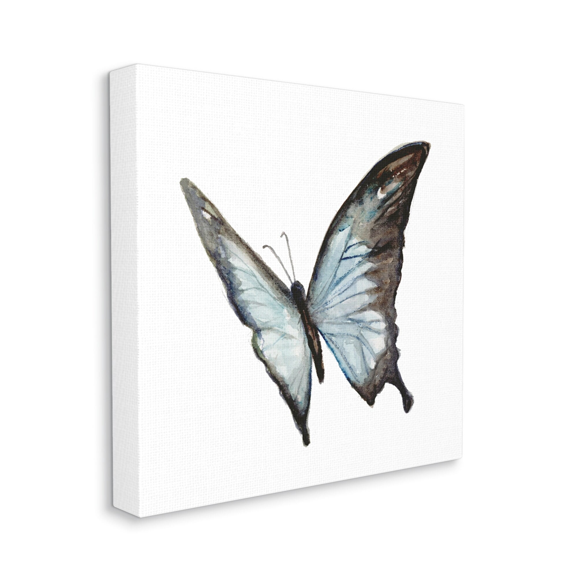 Stupell Industries Ulysses Butterfly Children's Nursery Insect Watercolor Painting, 30 x 30,Design by Fox Hollow Studios