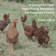 thumbnail image 5 of Pasté la Capa Perfecta de Alimento para Gallinas Secas sin Elote y sin Soja 17% de Proteína Certificado Orgánico y sin OGM 40 Libras, 5 of 7