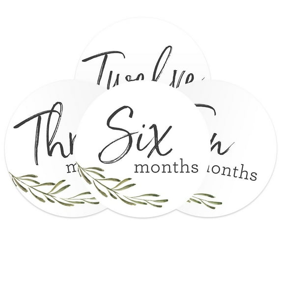 Greenery Baby Milestone Signs / Floral Monthly Milestones / Botanical Infant Photo Prop / 6 Baby Age Discs