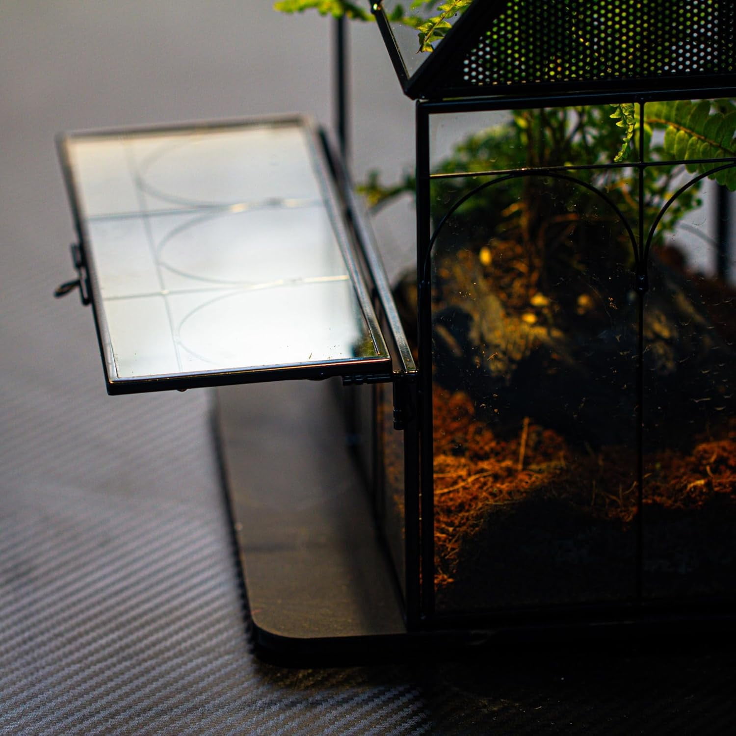 NCYP Glass Enclosure with Vent Holes for Insect, Spiders, Snails - 7.5" x 4.9" x 9", Small Closed Front Opening Door Succulent Terarium - House Shape Habitat, Home Decor Black (No Plants)
