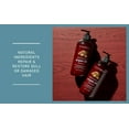 thumbnail image 3 of New York Biology Argan Oil Shampoo for Dry & Damaged Hair, 16.9 oz, 3 of 5