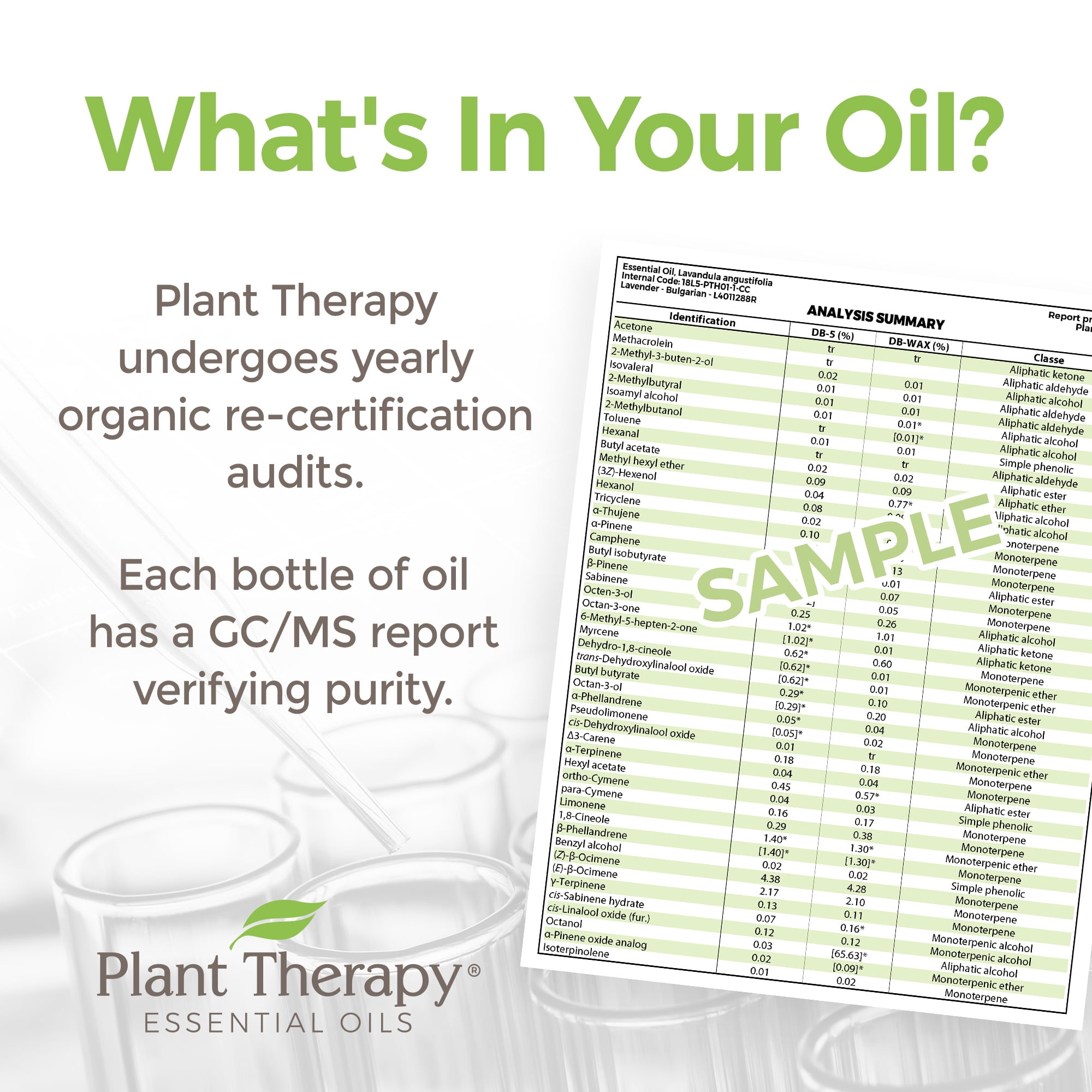 Plant Therapy Organic Vetiver Essential Oil 10 mL (1/3 oz) 100% Pure, Undiluted, Therapeutic Grade
