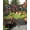 Multicolor, variant on Colorful Cartoon Sun Sail Shades Rectangle Canopy,Sunlight Block Heavy Duty Curved Backyard Shade Cover,Funny Flowers Guitar Animals Ethnic Art Waterproof Sun Shades for Patios Garden Pergola 8'x10'